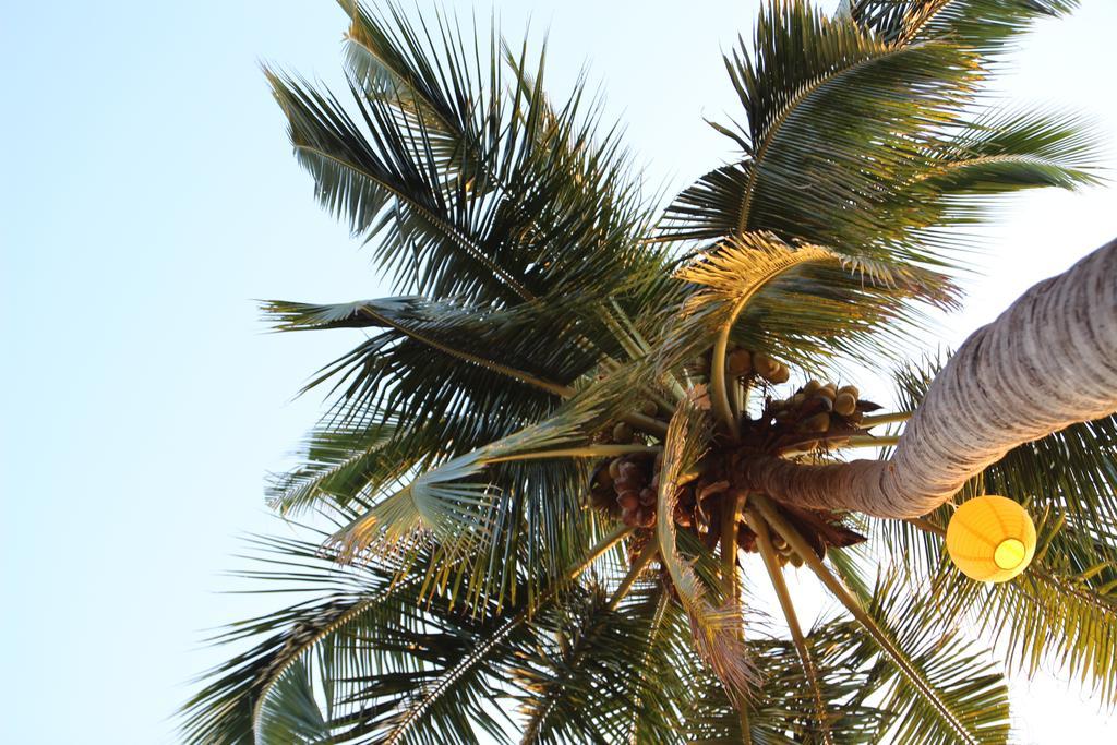 Sea Star Resort Agonda Exterior photo